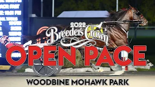 2022 Breeders Crown - Bulldog Hanover - Open Pace