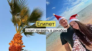 Египет: обзор отеля Amwaj Beach Club Abu Soma 4*, декабрь 2023