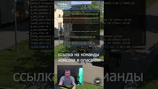 КАК ВКЛЮЧИТЬ КОНСОЛЬ И СВОБОДНУЮ КАМЕРУ ETS2 #shorts