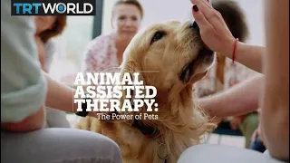 Animal Assisted Therapy: The power of pets?