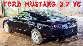 Ford Mustang 3.7 V6 305HP - Pierwsze wrażenia