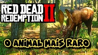 Onde e como encontrar o Alce com pele perfeita em Red Dead Redemption 2