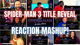 Spider Man 3 Title Reveal Reaction Mashup | Spider Man No Way Home Reaction