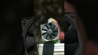 How fast can a PC fan spin?