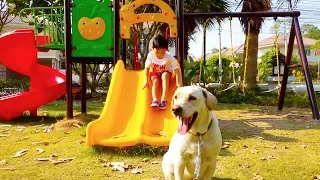 Dog Bath Water Play with Color Ball Toys for Kids playground