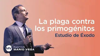 La plaga contra los primogénitos | Éxodo 11:1-10 | Estudio Bíblico