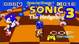 SONIC The Hedgehog 3 - Special Stage 1