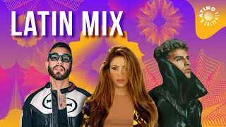 Latin Music Mix 2022 - The Best Latin Hits - Shakira, Rauw Alejandro, Bad Bunny, Maluma...