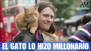 El gato que le hizo millonario