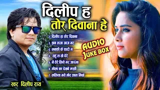 दिलीप राय Dilip ray | Cg Song | Dilip Ha tor Diwana He | Audio Juke Box | New Chhattisgarhi Geet