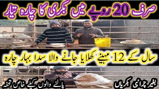 How to make Cheap Goat Fodder at Home ll گھر پر بکریوں کا سستہ چارہ بنانے کا طریقہ llDoctor Iftikhar