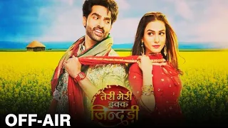 Zee Tv Popular Show Teri Meri Ek Jindri To Go Off-Air