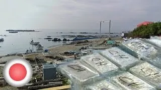 48 million dollars worth of cocaine wash ashore upon a Japanese beach