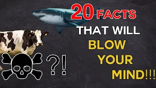 Random Fun Facts you have never known