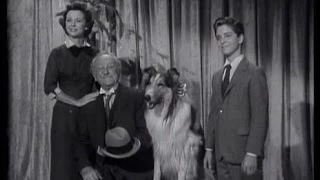 Lassie - Episode 84 - "Lassie's Vanity" - Season 3, #19  (01/13/57)