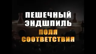 Урок Эндшпиля №2: Пешечник, поля соответствия/шахматы