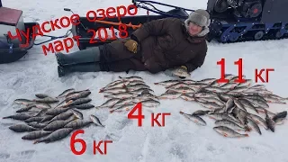 Чудское озеро 2018 | Зимняя рыбалка | Уловистый март и крупный окунь!