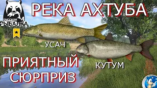 🌟РЕКА АХТУБА 🌟 ТРОФ УСАЧ + КУТУМ 🌟Русская Рыбалка 4 (РР4)🌟