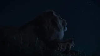 Can You Feel The Love Tonight - The Lion King