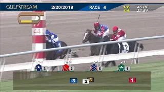 Gulfstream Park February 20, 2019 Race 4