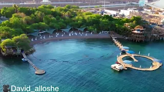 DJI MINI 3PRO (Dolphin reef Eilat)