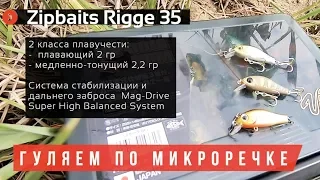 Гуляем с 843G.loomis по микроречке [Rigge35]