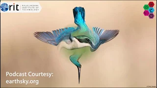 Biomimicry: How Kingfisher inspired Bullet trains!