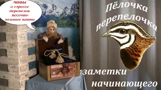 Миф о стрессе перепелок.