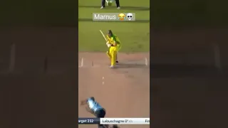 Jofra Archer bowls a quick bouncer to Marnus Labuschagne. #cricket