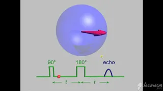 MRI Physics  Part 13 T1 ,T2 and PD اساسيات فيزياء  الرنين المغناظيسي بالعربي