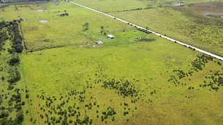 308+-Acre Cattle Ranch Venus, FL. Just Listed: Road Frontage Upside Dev Potential to Ranchettes!