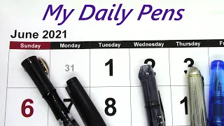 My Daily Pens: June 2021 / Fountain Pen Review
