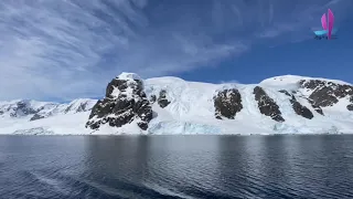 20191111 南極三島21日 南極半島 威爾米納灣