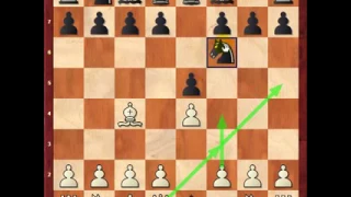 Шахматы для начинающих Секрет того,как выиграть в открытых дебютах