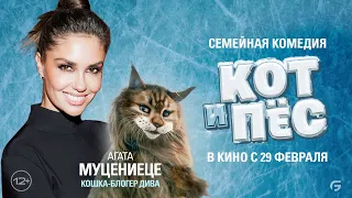 Агата Муцениеце в роли кошки Дивы в комедии "Кот и пёс". В кино с 29 февраля. HD 12+