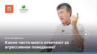 Мозг и агрессия — Вячеслав Дубынин