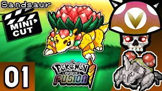 [Vinesauce] Joel - Pokémon Infinite Fusion Highlights ( Part 1 )