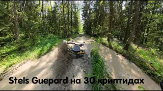 Stels Guepard на 30 криптидах. Крутая грязевая катка 🔥🔥🔥 Сравниваем разную грязевую резину.