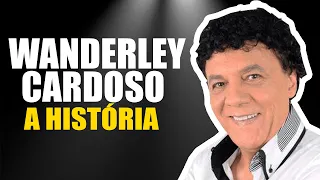 QUEM É WANDERLEY CARDOSO?