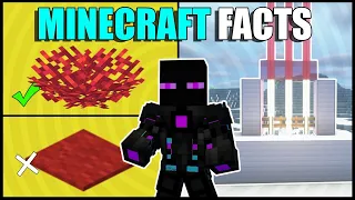 Minecraft facts that will blow your mind|Minecraft hindi