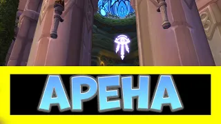 ЭНХ + ДЛОК АРЕНА 2С ► World of Warcraft