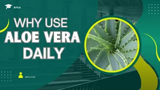 Unlocking the Secrets: 7 Amazing Health Benefits of Aloe Vera