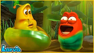 LARVA | PARTNER| CARTOON MOVIE FOR LIFE | THE BEST OF CARTOON | HILARIOUS CARTOON COMPILATION