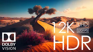 12K HDR 120fps Dolby Vision with Calming Music (Scenic World)