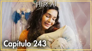 Hercai - Capítulo 243