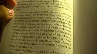 Reading My Antonia by Willa Cather Book 1 Chapter IV: The Shimerdas