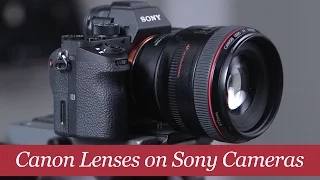 Before You Use Canon Lenses on a Sony Camera...