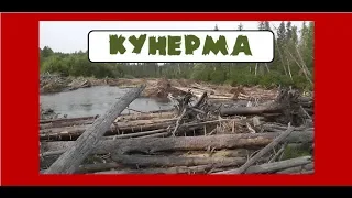 Кунерма Кравцов Альшевский