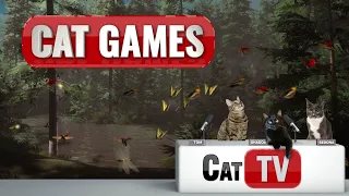 CAT Games TV | Relaxing Mountain Escape with Flowing Water Sounds | Calming Videos For Cats ⛰️