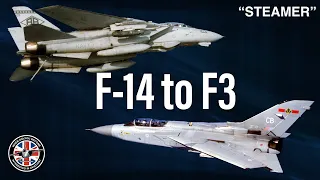 F-14 to the Tornado F3 | Tom "Steamer" Bau (Unseen Clip)